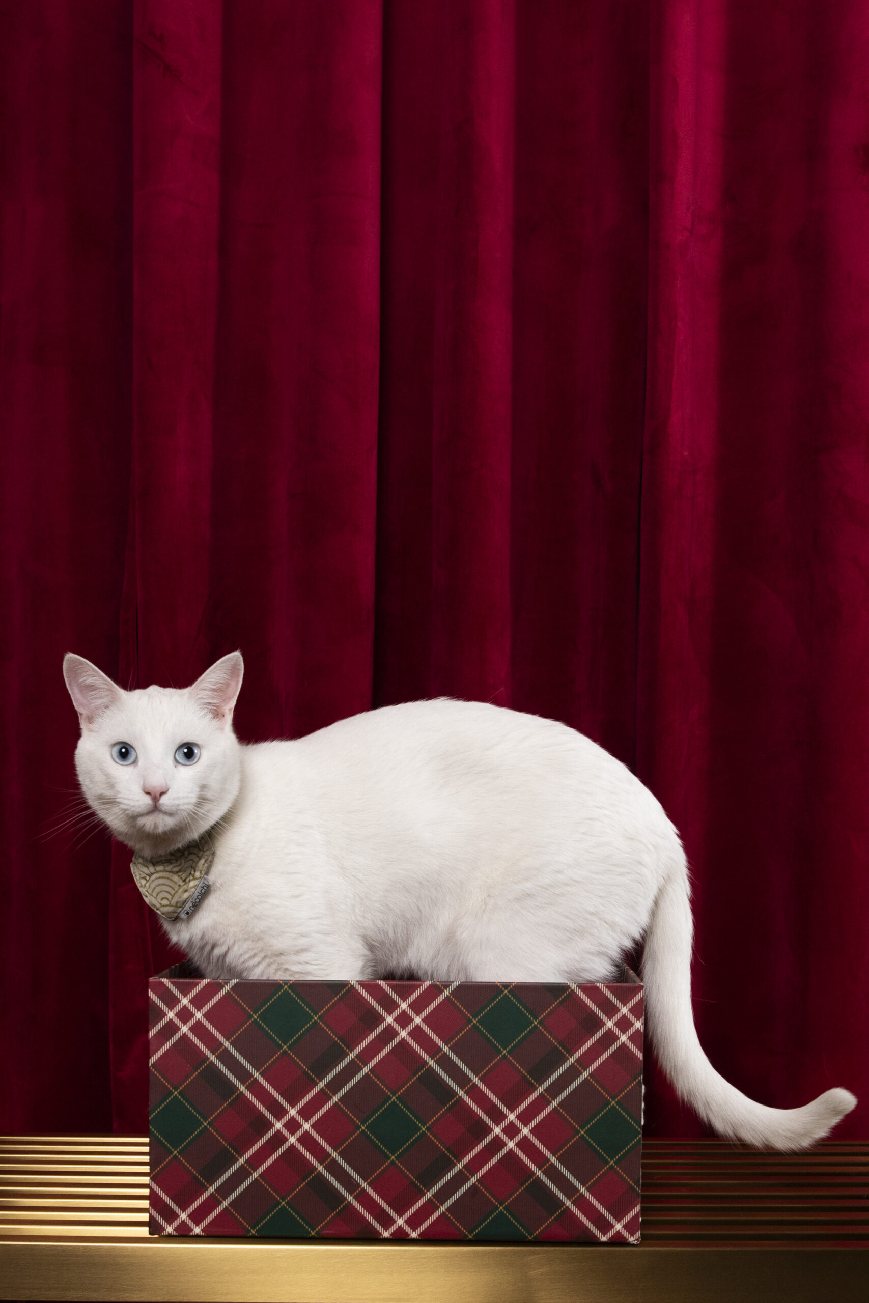 FamPortrait4279